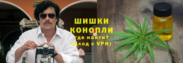 дмт Алзамай