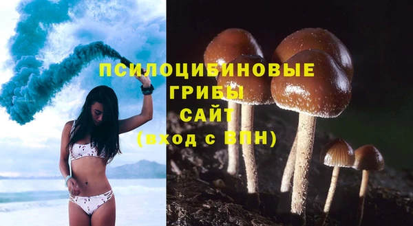 mdpv Алексин