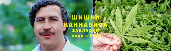 дмт Алзамай