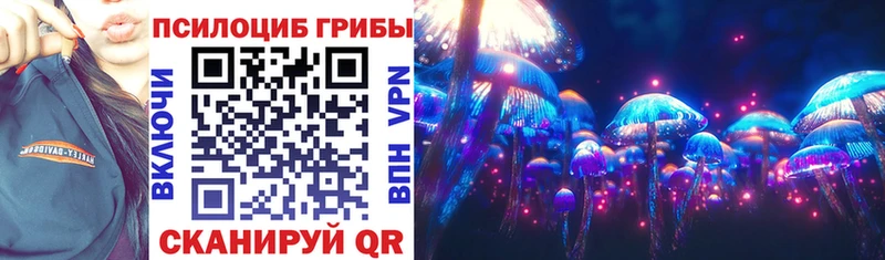 Псилоцибиновые грибы Cubensis Андреаполь